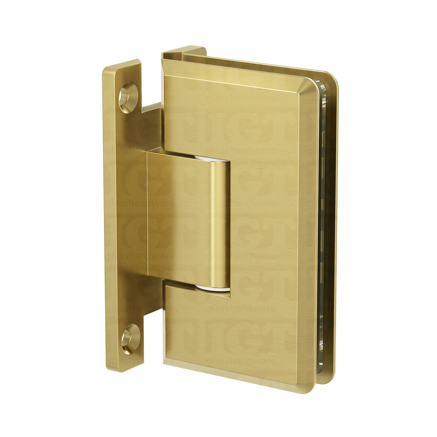 The Heavy Duty Wall-to-Glass “H” Back Bilboa Hinge in Gold Brushed.