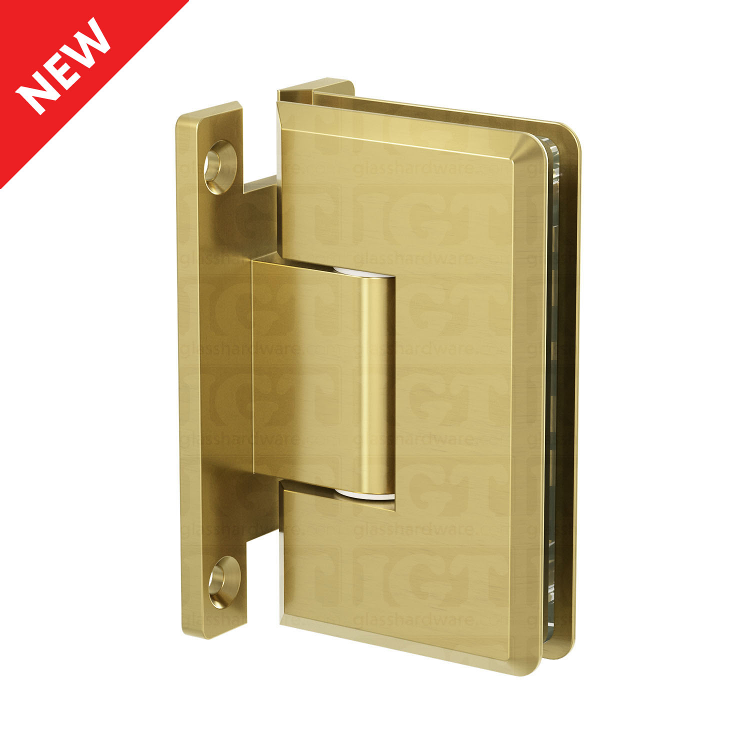 The Heavy Duty Wall-to-Glass “H” Back Bilboa Hinge in Gold Brushed.