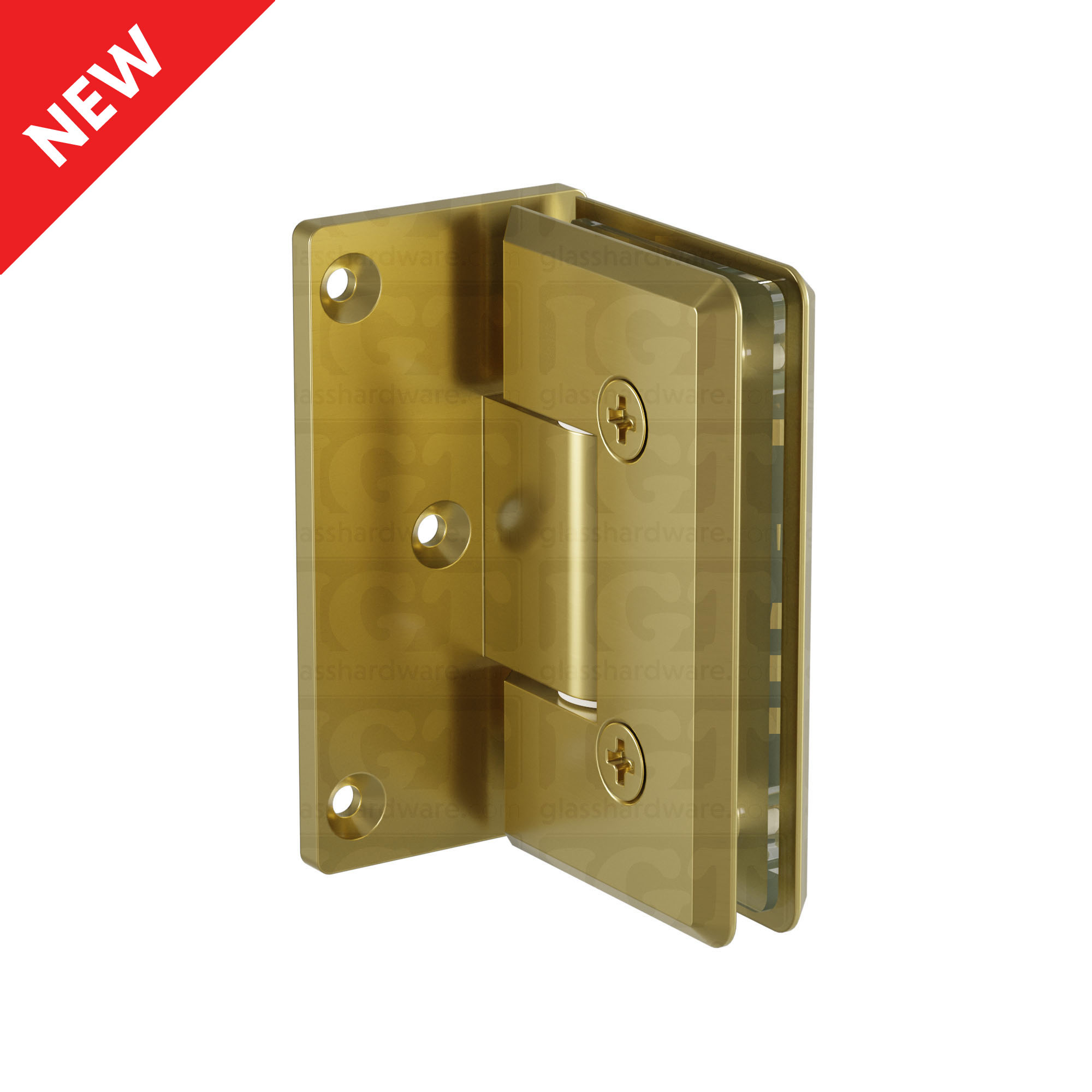 The Heavy Duty Wall-to-Glass Offset Back Bilboa Hinge in Gold Brushed.